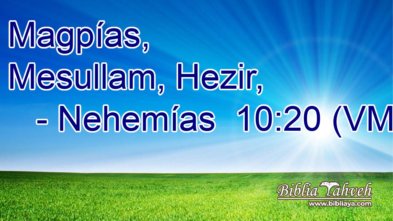  Magpías, Mesullam, Hezir, 