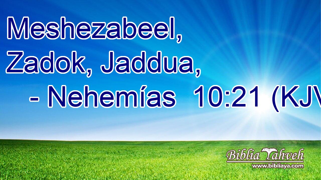 Meshezabeel, Zadok, Jaddua,