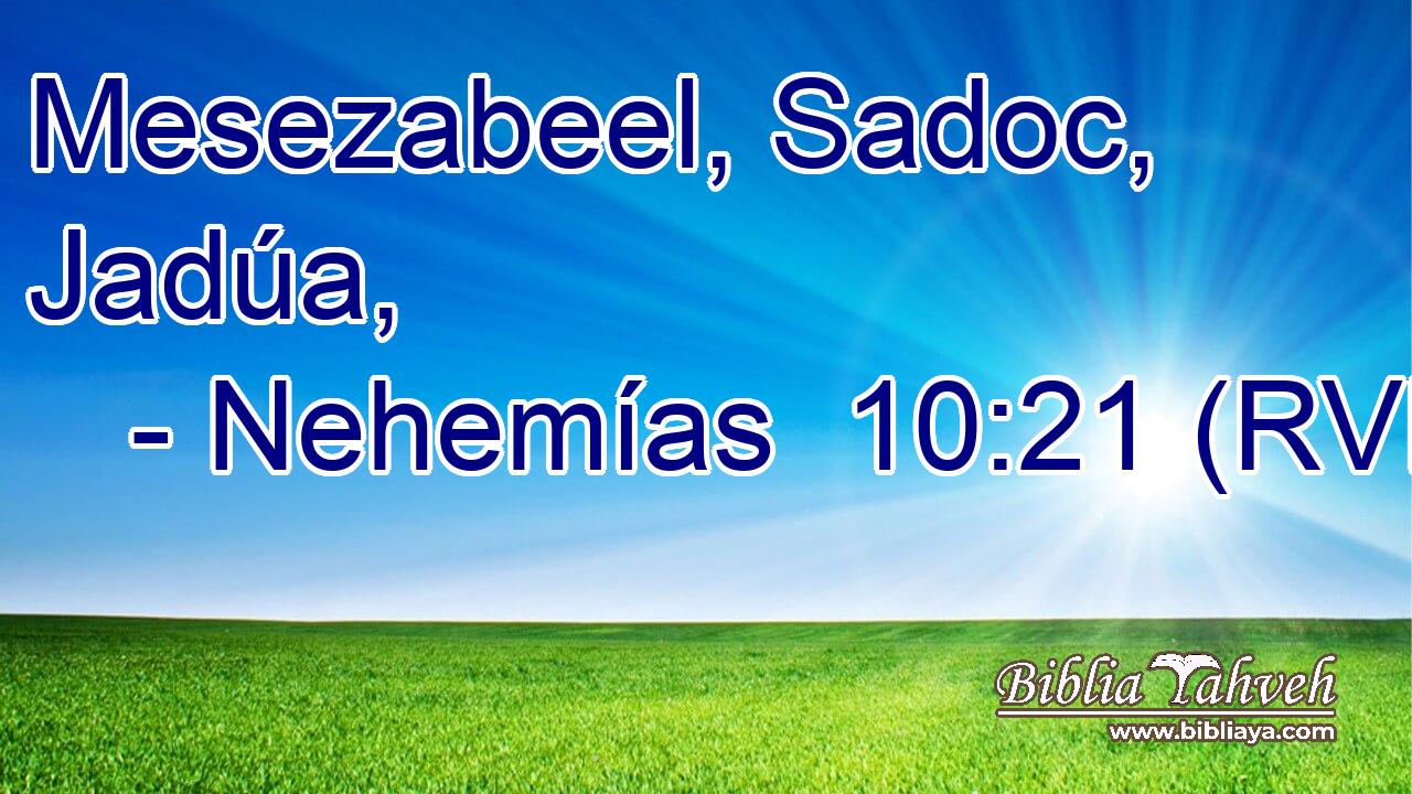 Mesezabeel, Sadoc, Jadúa,