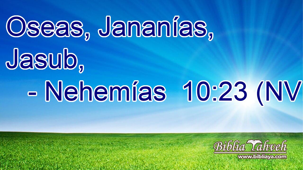  Oseas, Jananías, Jasub, 