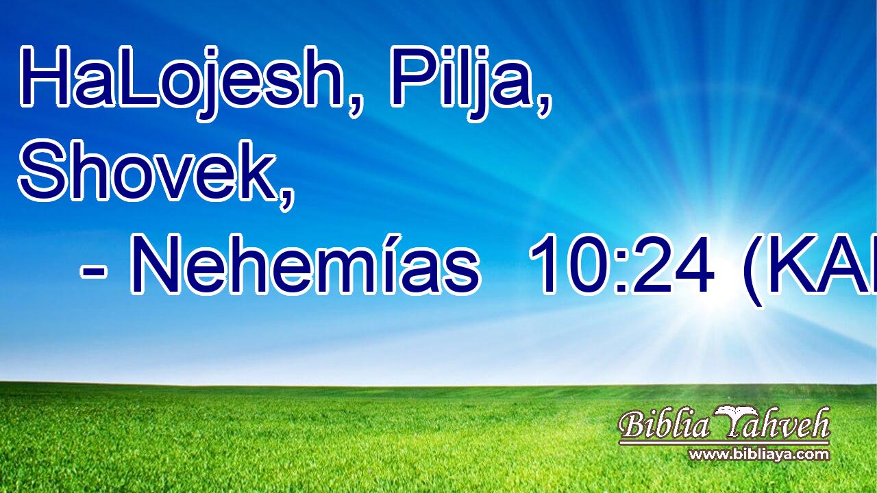  HaLojesh, Pilja, Shovek, 