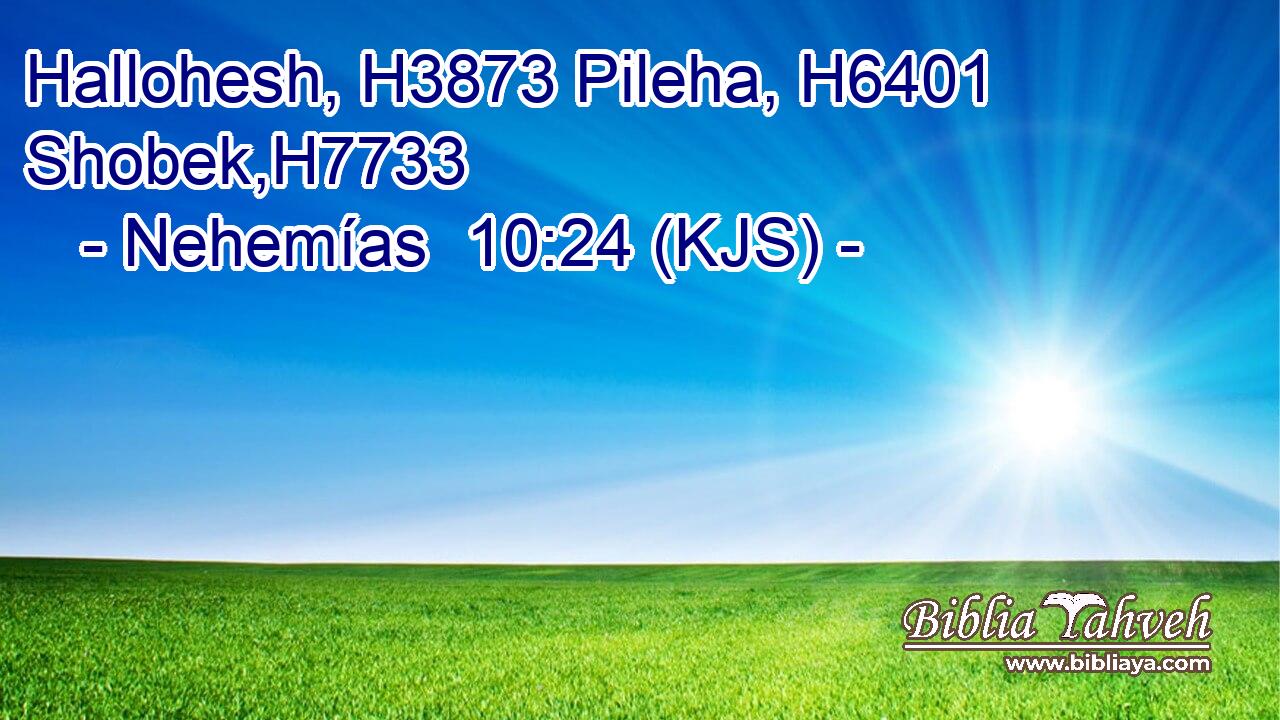 Hallohesh, H3873 Pileha, H6401 Shobek,H7733