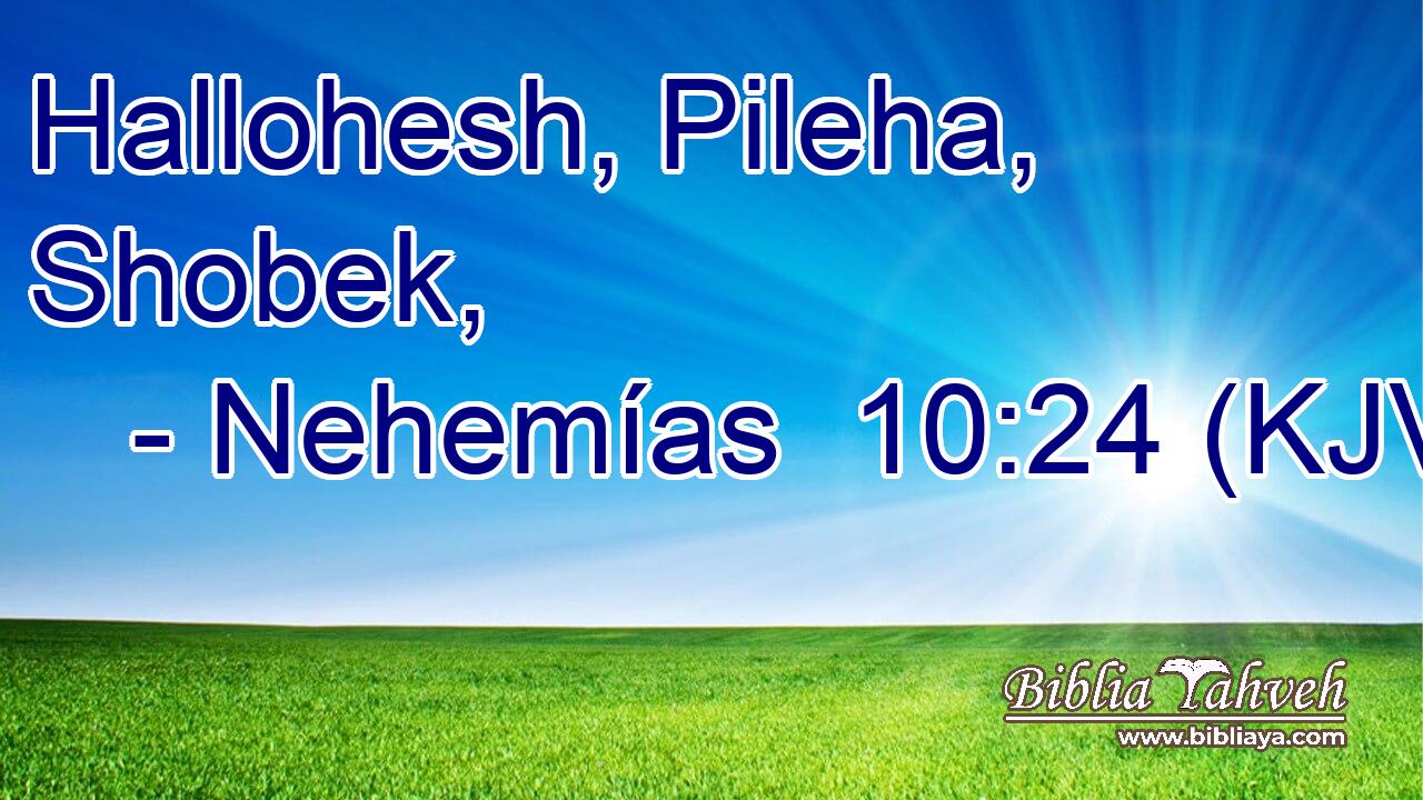 Hallohesh, Pileha, Shobek,
