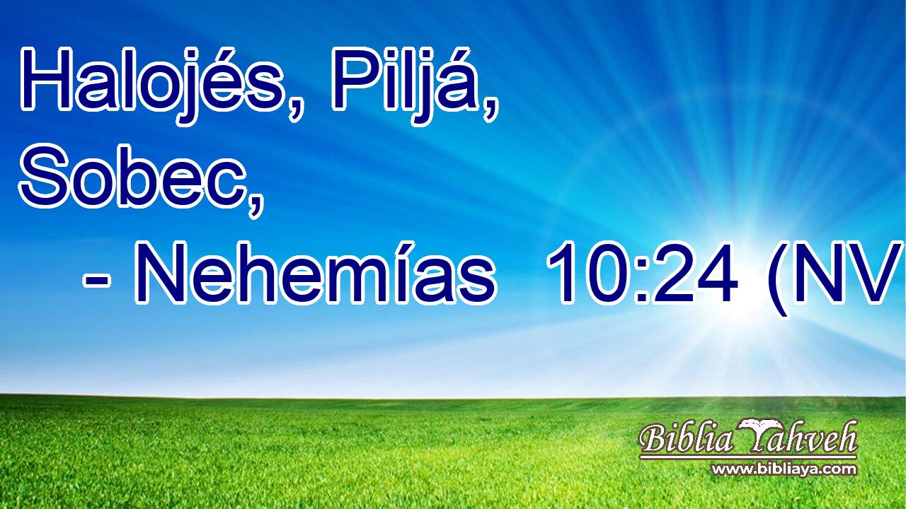  Halojés, Piljá, Sobec, 