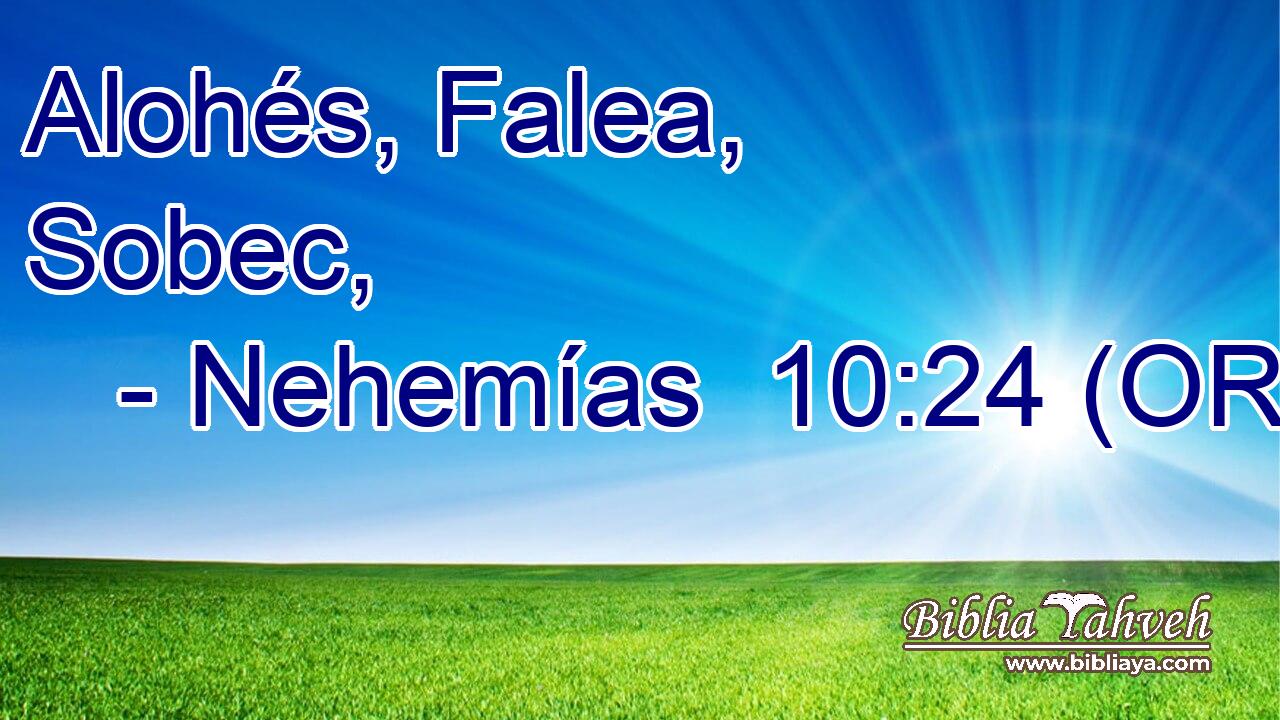  Alohés, Falea, Sobec, 