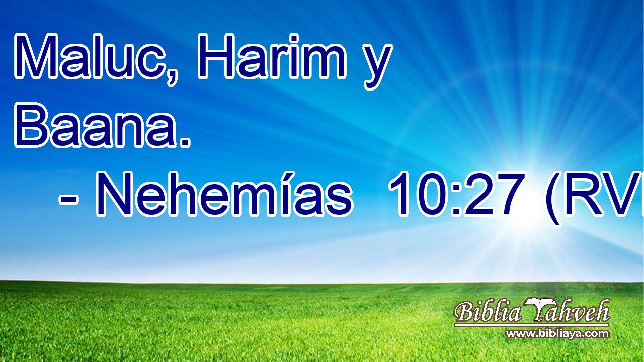 Maluc, Harim y Baana.