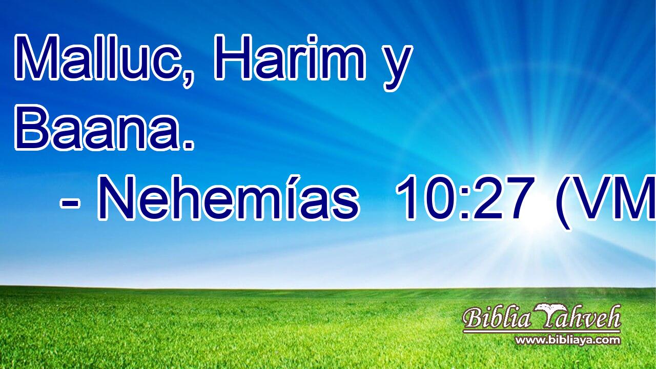  Malluc, Harim y Baana. 