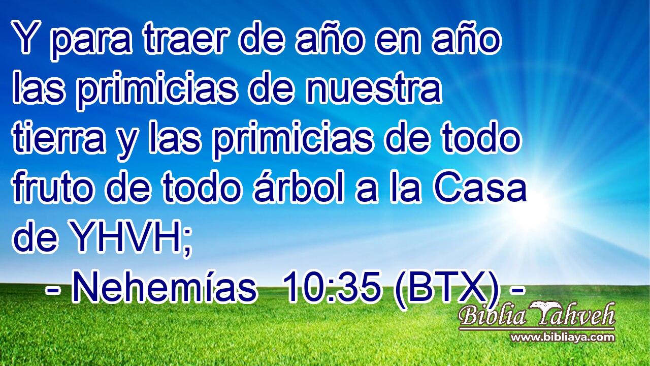 Y para traer de año en año las primicias de nuestra tierra y las primicias de todo fruto de todo árbol a la Casa de YHVH;