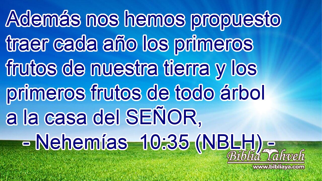  Además nos hemos propuesto traer cada año los primeros frutos de nuestra tierra y los primeros frutos de todo árbol a la casa del SEÑOR, 