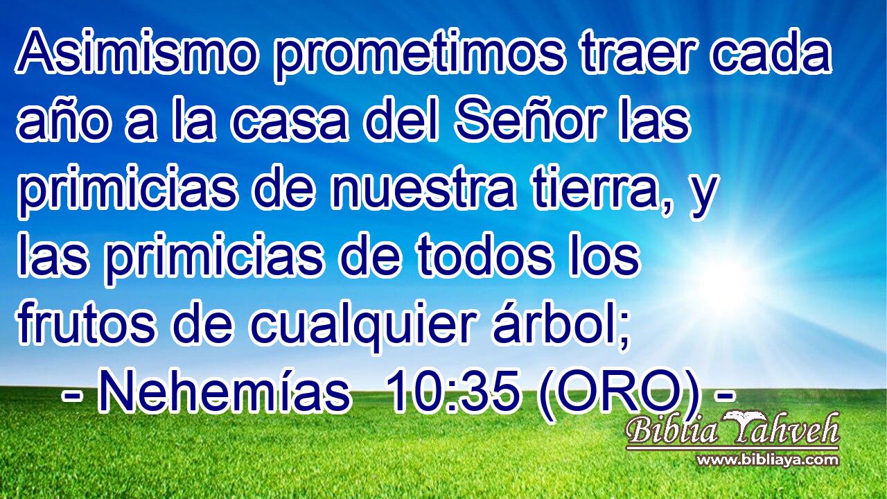  Asimismo prometimos traer cada año a la casa del Señor las primicias de nuestra tierra, y las primicias de todos los frutos de cualquier árbol; 