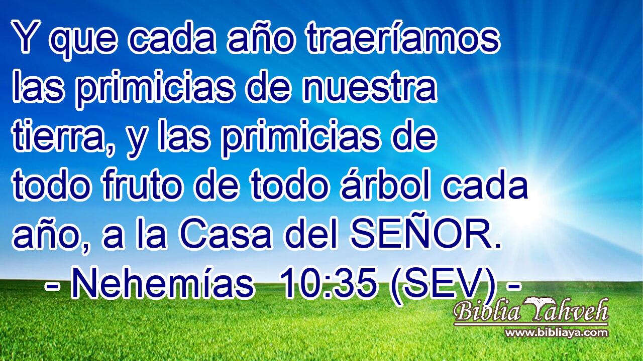 Y que cada año traeríamos las primicias de nuestra tierra, y las primicias de todo fruto de todo árbol cada año, a la Casa del SEÑOR.