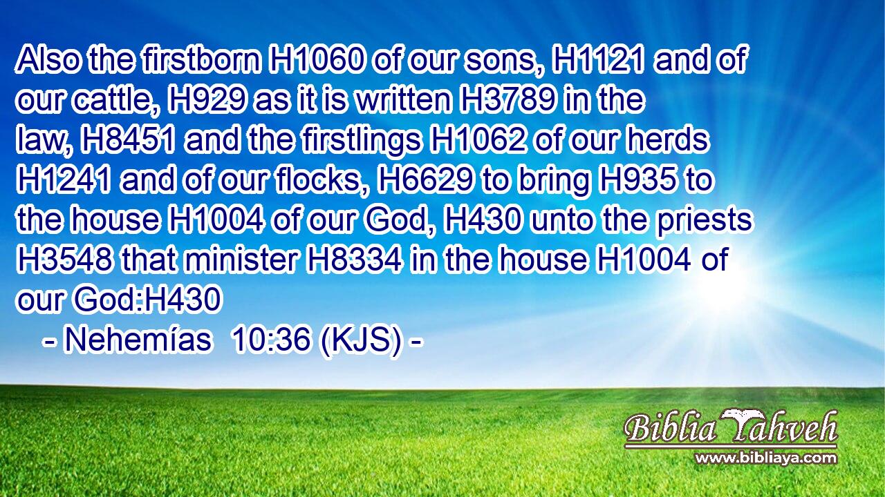 Also the firstborn H1060 of our sons, H1121 and of our cattle, H929 as it is written H3789 in the law, H8451 and the firstlings H1062 of our herds H1241 and of our flocks, H6629 to bring H935 to the house H1004 of our God, H430 unto the priests H3548 that minister H8334 in the house H1004 of our God:H430