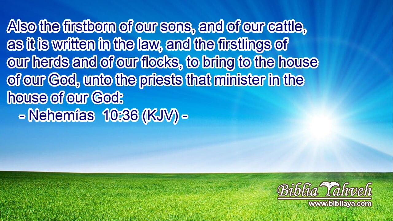 Also the firstborn of our sons, and of our cattle, as it is written in the law, and the firstlings of our herds and of our flocks, to bring to the house of our God, unto the priests that minister in the house of our God: