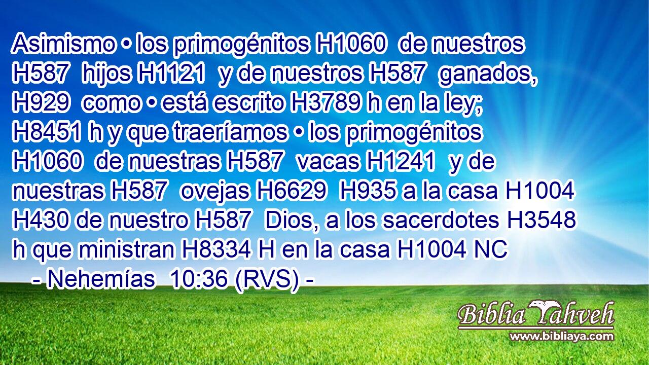 Asimismo • los primogénitos H1060  de nuestros H587  hijos H1121  y de nuestros H587  ganados, H929  como • está escrito H3789 h en la ley; H8451 h y que traeríamos • los primogénitos H1060  de nuestras H587  vacas H1241  y de nuestras H587  ovejas H6629  H935 a la casa H1004  H430 de nuestro H587  Dios, a los sacerdotes H3548 h que ministran H8334 H en la casa H1004 NC