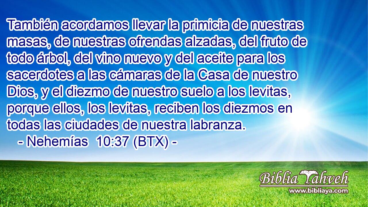 También acordamos llevar la primicia de nuestras masas, de nuestras ofrendas alzadas, del fruto de todo árbol, del vino nuevo y del aceite para los sacerdotes a las cámaras de la Casa de nuestro Dios, y el diezmo de nuestro suelo a los levitas, porque ellos, los levitas, reciben los diezmos en todas las ciudades de nuestra labranza.
