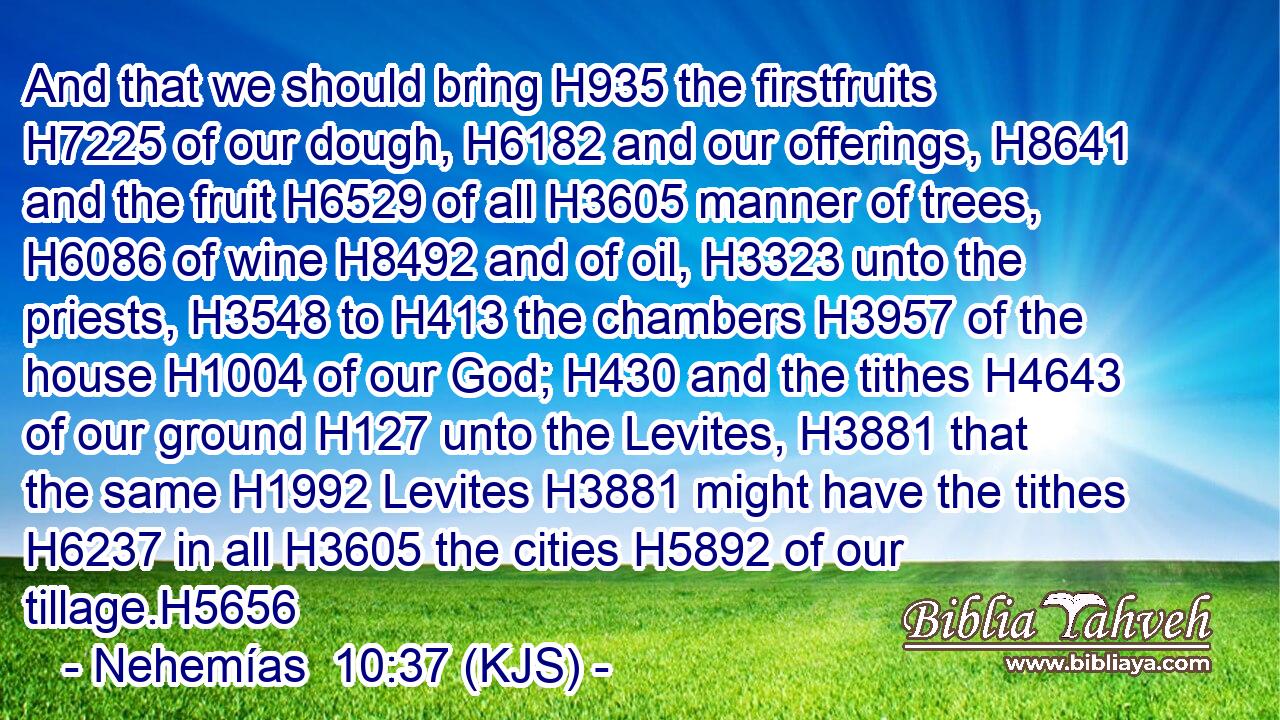 And that we should bring H935 the firstfruits H7225 of our dough, H6182 and our offerings, H8641 and the fruit H6529 of all H3605 manner of trees, H6086 of wine H8492 and of oil, H3323 unto the priests, H3548 to H413 the chambers H3957 of the house H1004 of our God; H430 and the tithes H4643 of our ground H127 unto the Levites, H3881 that the same H1992 Levites H3881 might have the tithes H6237 in all H3605 the cities H5892 of our tillage.H5656