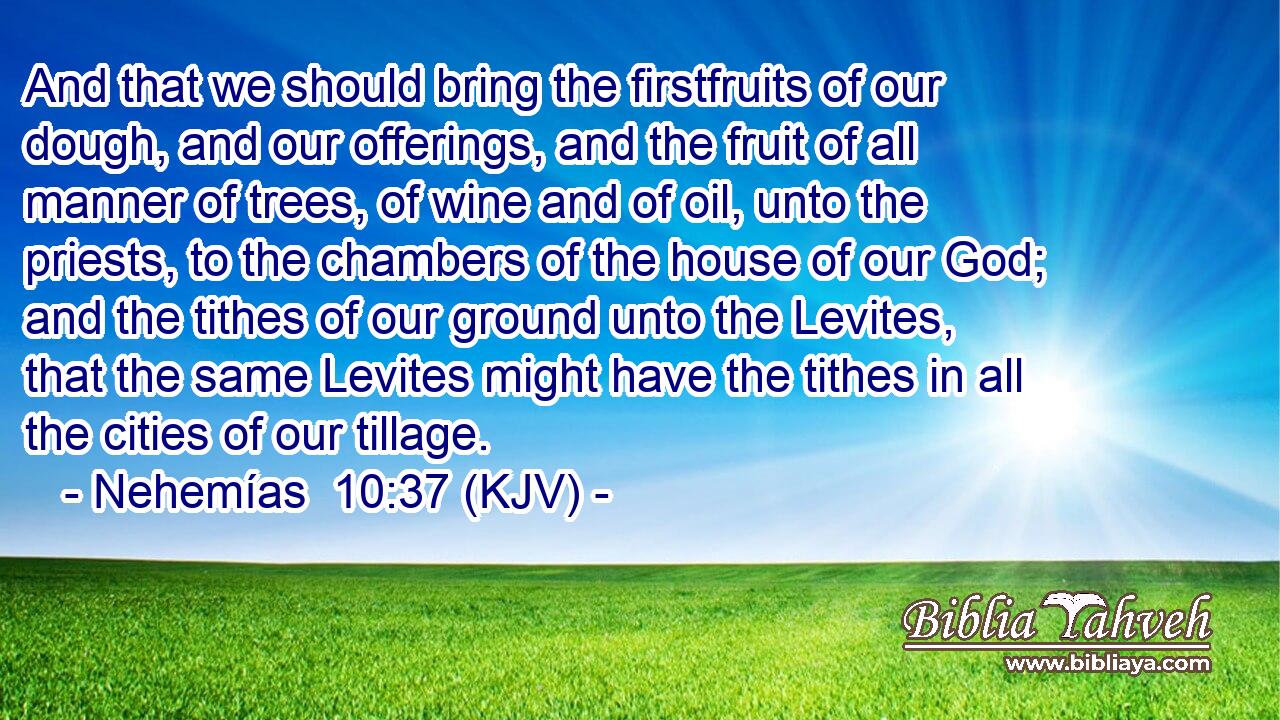 And that we should bring the firstfruits of our dough, and our offerings, and the fruit of all manner of trees, of wine and of oil, unto the priests, to the chambers of the house of our God; and the tithes of our ground unto the Levites, that the same Levites might have the tithes in all the cities of our tillage.