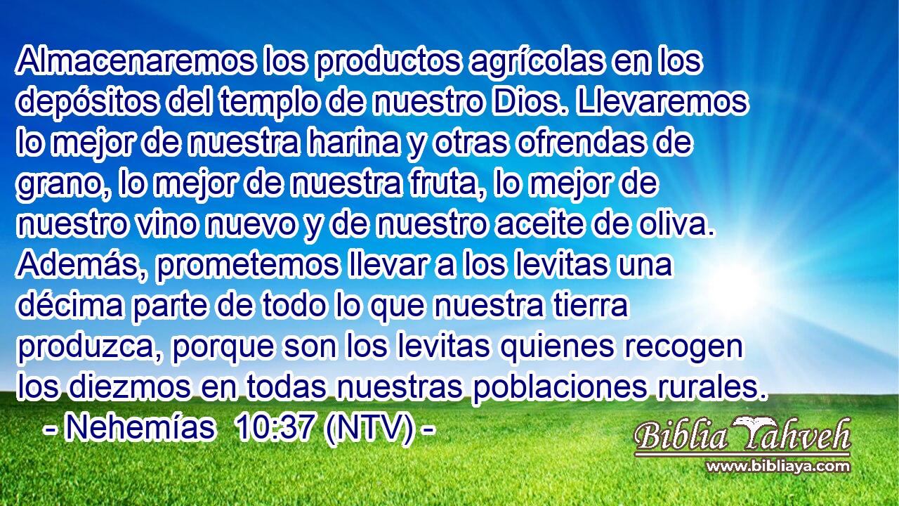 Almacenaremos los productos agrícolas en los depósitos del templo de nuestro Dios. Llevaremos lo mejor de nuestra harina y otras ofrendas de grano, lo mejor de nuestra fruta, lo mejor de nuestro vino nuevo y de nuestro aceite de oliva. Además, prometemos llevar a los levitas una décima parte de todo lo que nuestra tierra produzca, porque son los levitas quienes recogen los diezmos en todas nuestras poblaciones rurales.