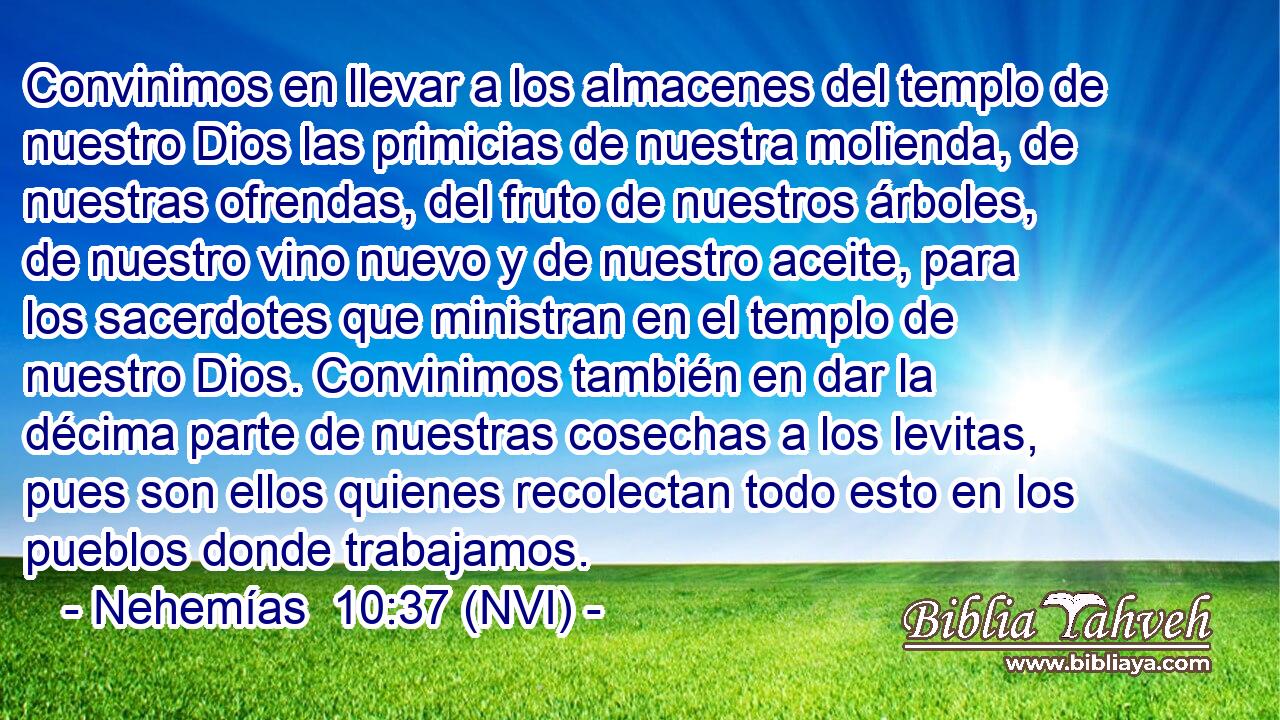  Convinimos en llevar a los almacenes del templo de nuestro Dios las primicias de nuestra molienda, de nuestras ofrendas, del fruto de nuestros árboles, de nuestro vino nuevo y de nuestro aceite, para los sacerdotes que ministran en el templo de nuestro Dios. Convinimos también en dar la décima parte de nuestras cosechas a los levitas, pues son ellos quienes recolectan todo esto en los pueblos donde trabajamos. 