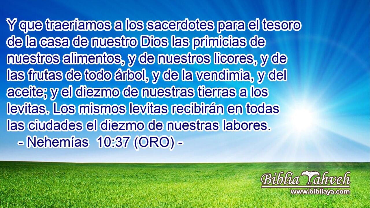 Y que traeríamos a los sacerdotes para el tesoro de la casa de nuestro Dios las primicias de nuestros alimentos, y de nuestros licores, y de las frutas de todo árbol, y de la vendimia, y del aceite; y el diezmo de nuestras tierras a los levitas. Los mismos levitas recibirán en todas las ciudades el diezmo de nuestras labores. 