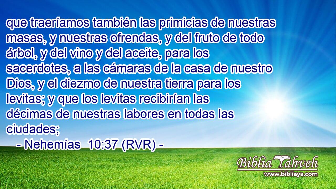 que traeríamos también las primicias de nuestras masas, y nuestras ofrendas, y del fruto de todo árbol, y del vino y del aceite, para los sacerdotes, a las cámaras de la casa de nuestro Dios, y el diezmo de nuestra tierra para los levitas; y que los levitas recibirían las décimas de nuestras labores en todas las ciudades;