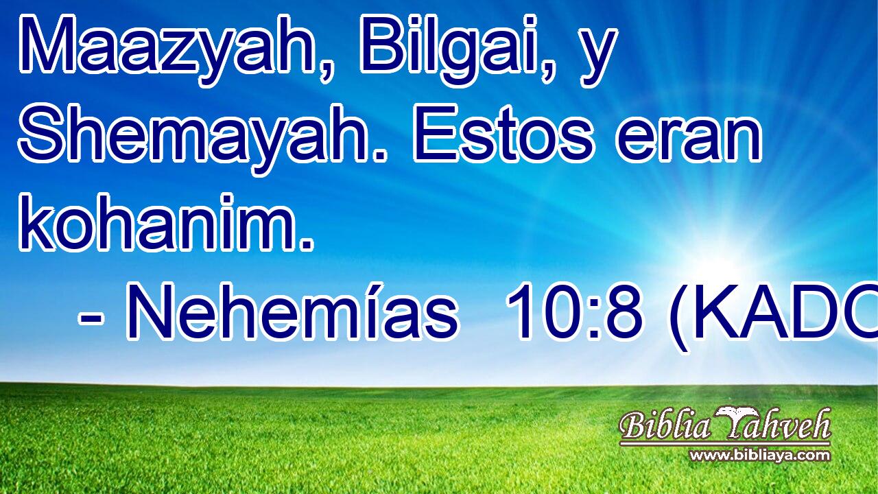  Maazyah, Bilgai, y Shemayah. Estos eran kohanim. 