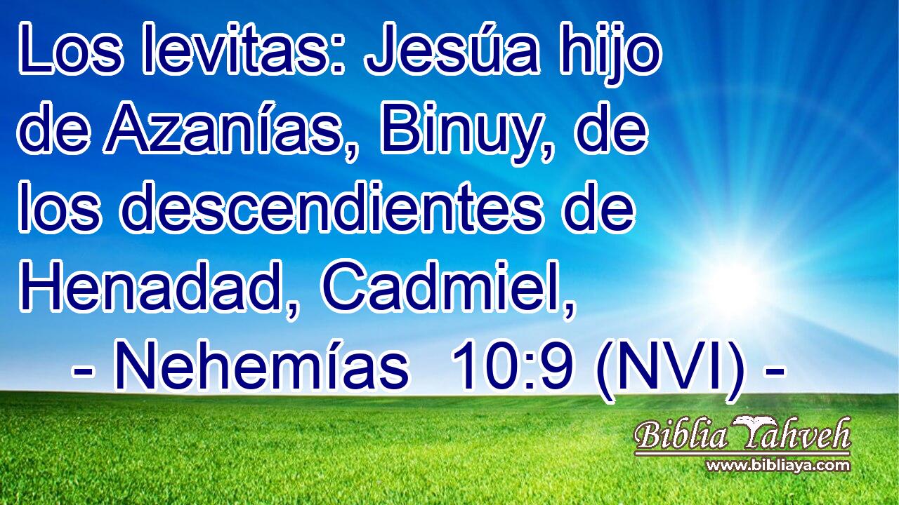  Los levitas: Jesúa hijo de Azanías, Binuy, de los descendientes de Henadad, Cadmiel, 