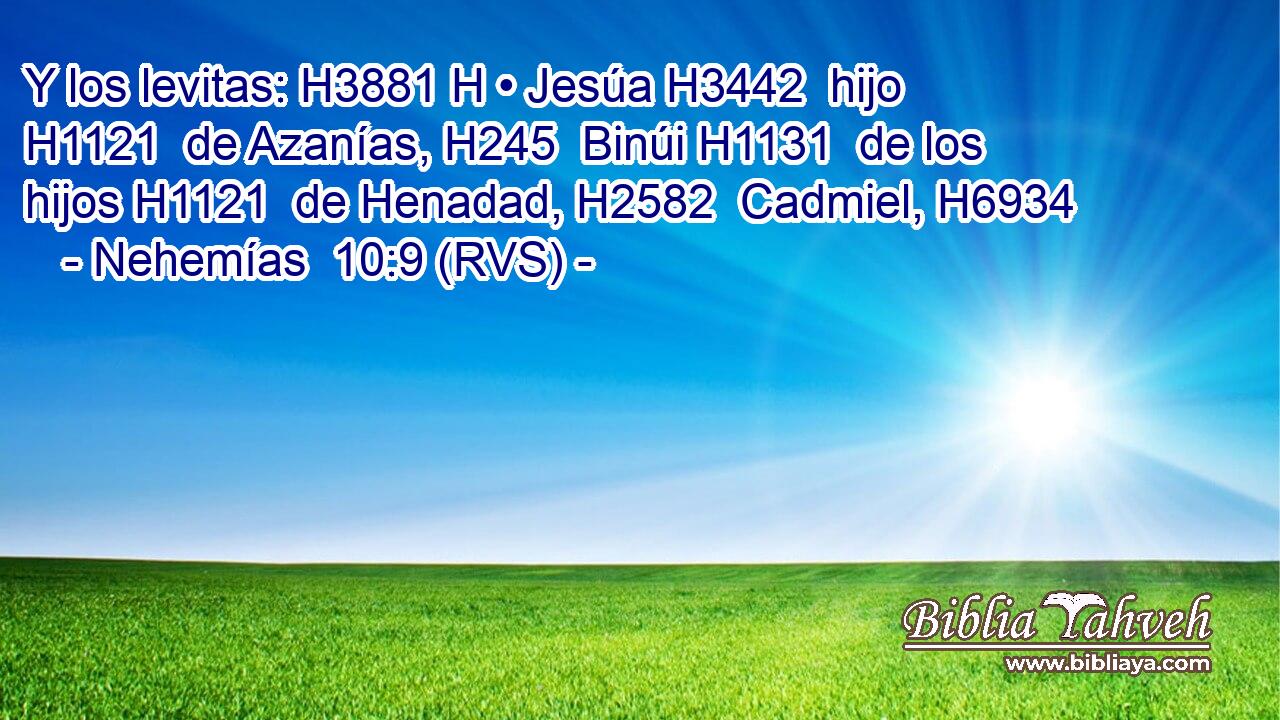 Y los levitas: H3881 H • Jesúa H3442  hijo H1121  de Azanías, H245  Binúi H1131  de los hijos H1121  de Henadad, H2582  Cadmiel, H6934  
