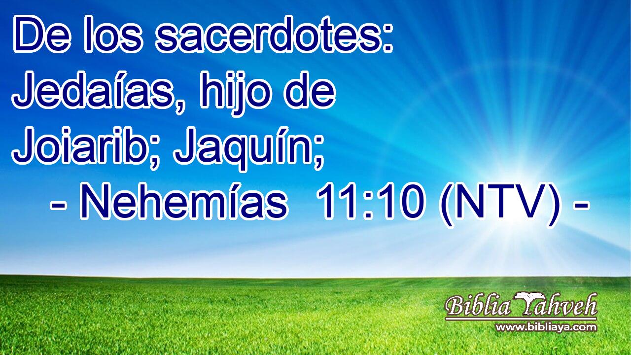 De los sacerdotes: Jedaías, hijo de Joiarib; Jaquín;