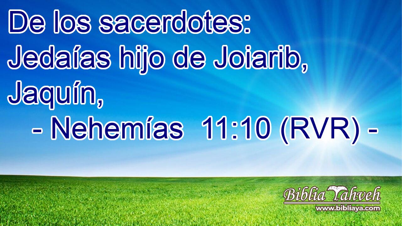 De los sacerdotes: Jedaías hijo de Joiarib, Jaquín,