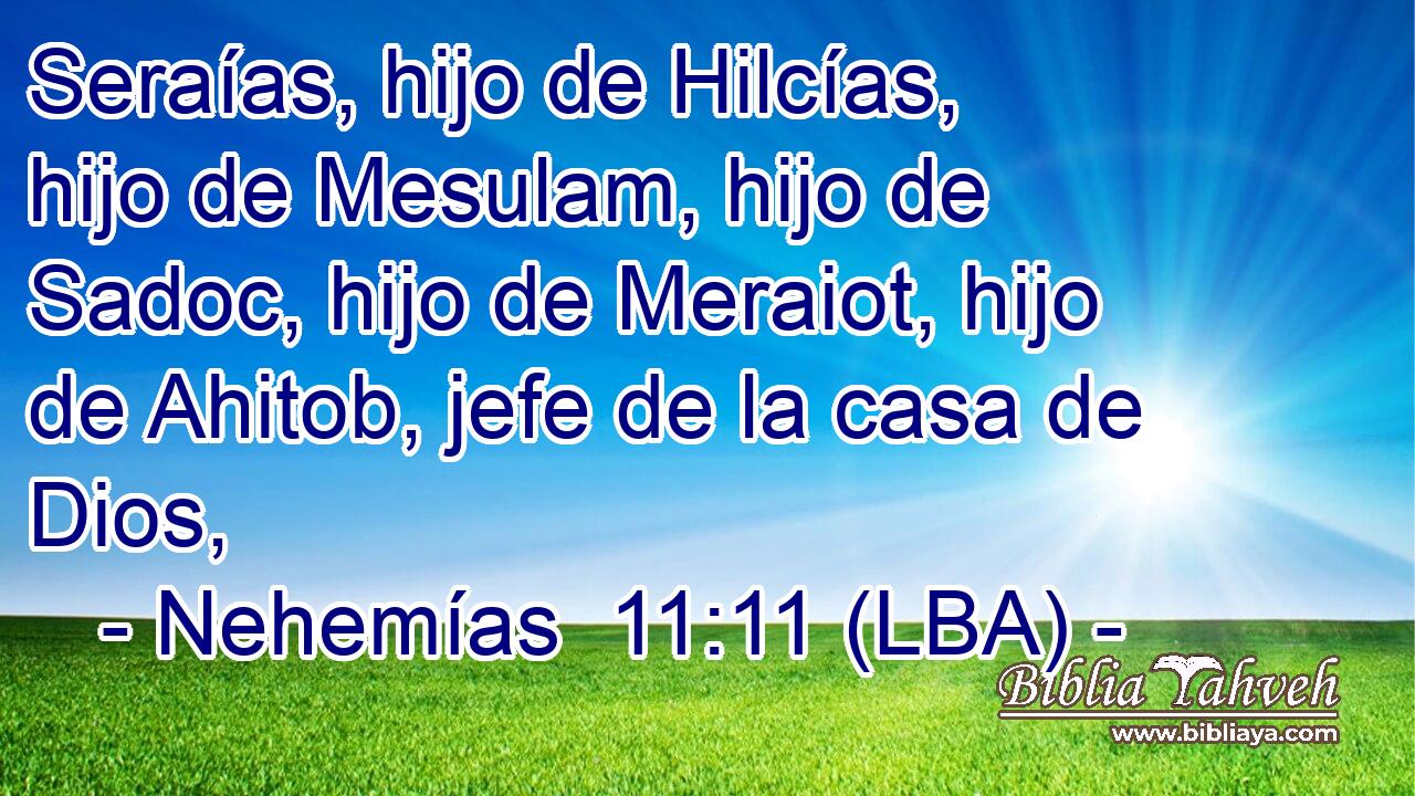 Seraías, hijo de Hilcías, hijo de Mesulam, hijo de Sadoc, hijo de Meraiot, hijo de Ahitob, jefe de la casa de Dios,