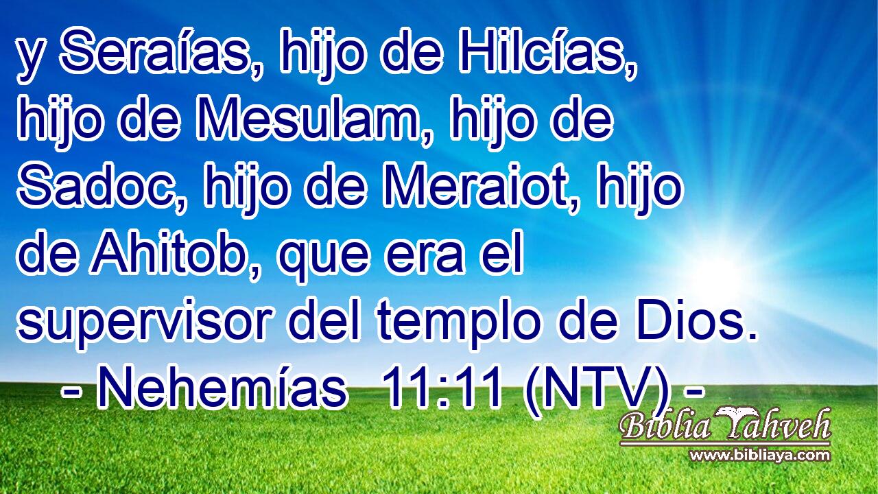 y Seraías, hijo de Hilcías, hijo de Mesulam, hijo de Sadoc, hijo de Meraiot, hijo de Ahitob, que era el supervisor del templo de Dios.