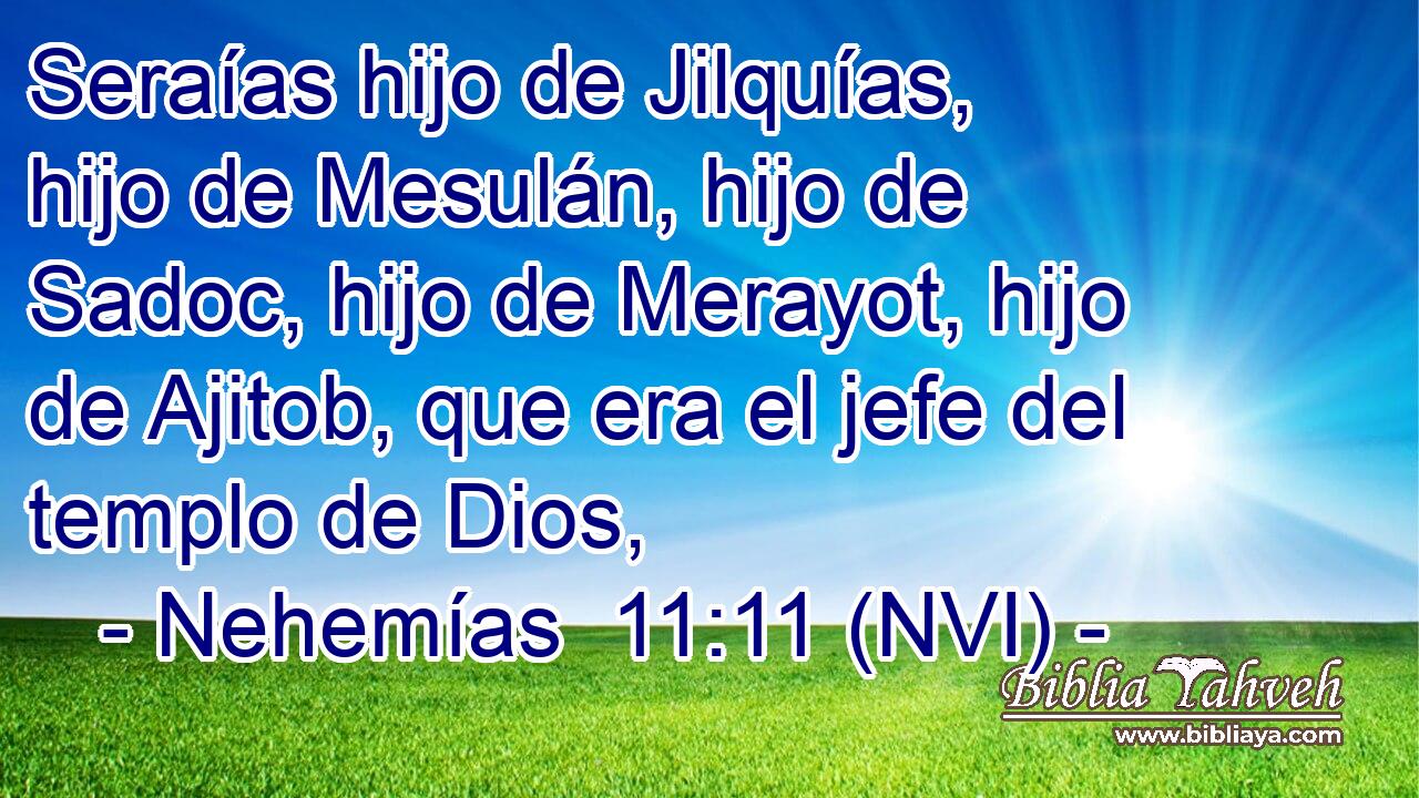  Seraías hijo de Jilquías, hijo de Mesulán, hijo de Sadoc, hijo de Merayot, hijo de Ajitob, que era el jefe del templo de Dios, 