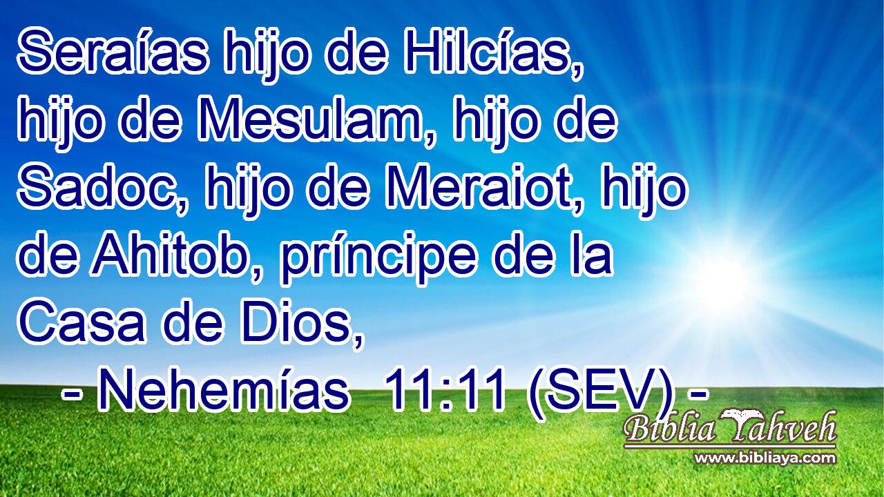 Seraías hijo de Hilcías, hijo de Mesulam, hijo de Sadoc, hijo de Meraiot, hijo de Ahitob, príncipe de la Casa de Dios,
