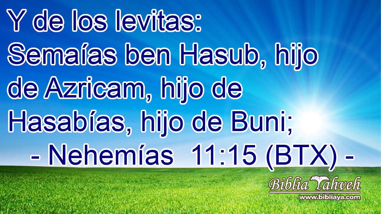 Y de los levitas: Semaías ben Hasub, hijo de Azricam, hijo de Hasabías, hijo de Buni;
