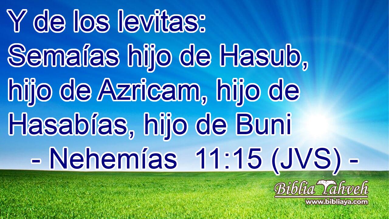 Y de los levitas: Semaías hijo de Hasub, hijo de Azricam, hijo de Hasabías, hijo de Buni