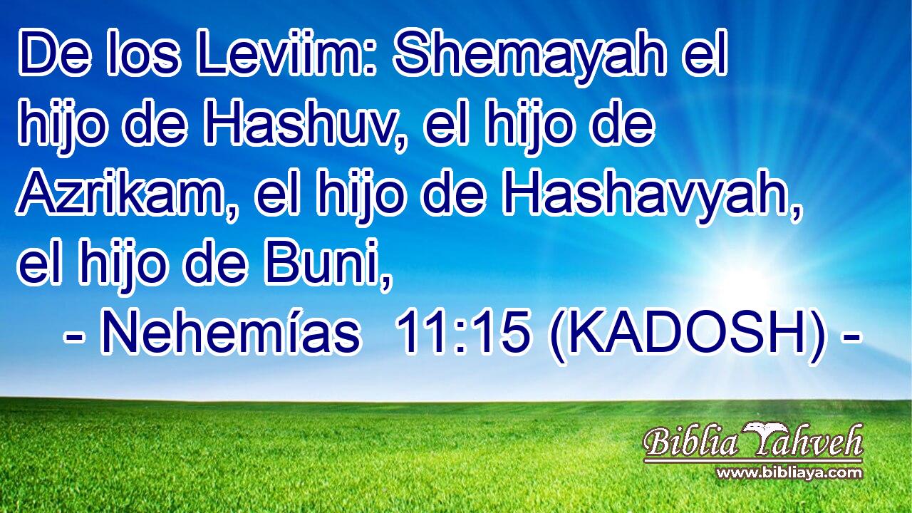  De los Leviim: Shemayah el hijo de Hashuv, el hijo de Azrikam, el hijo de Hashavyah, el hijo de Buni, 