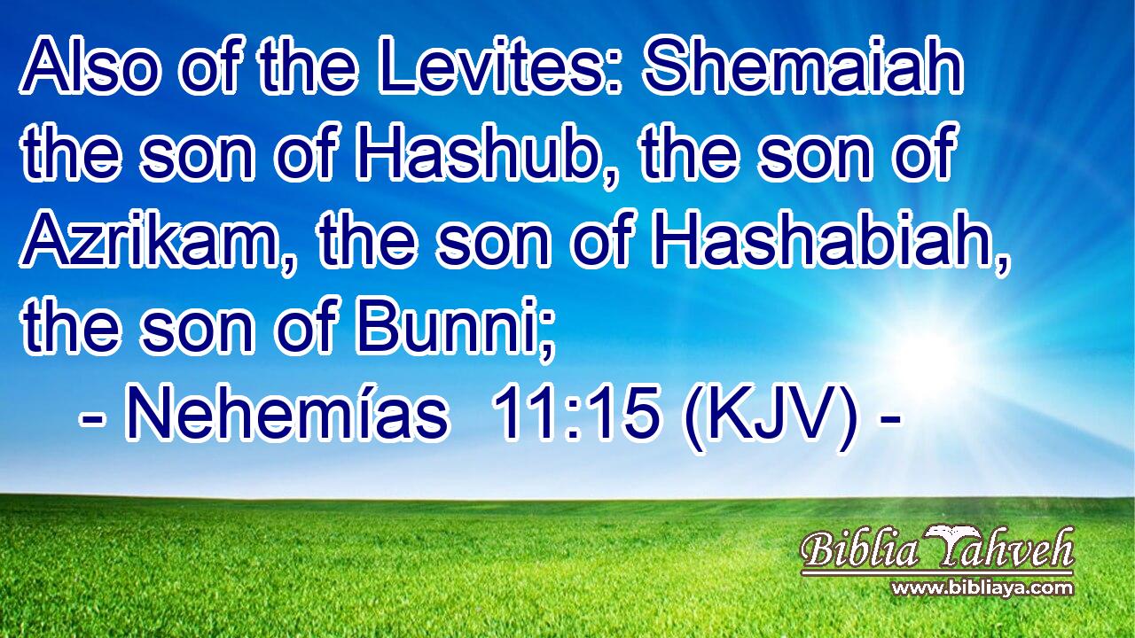 Also of the Levites: Shemaiah the son of Hashub, the son of Azrikam, the son of Hashabiah, the son of Bunni;