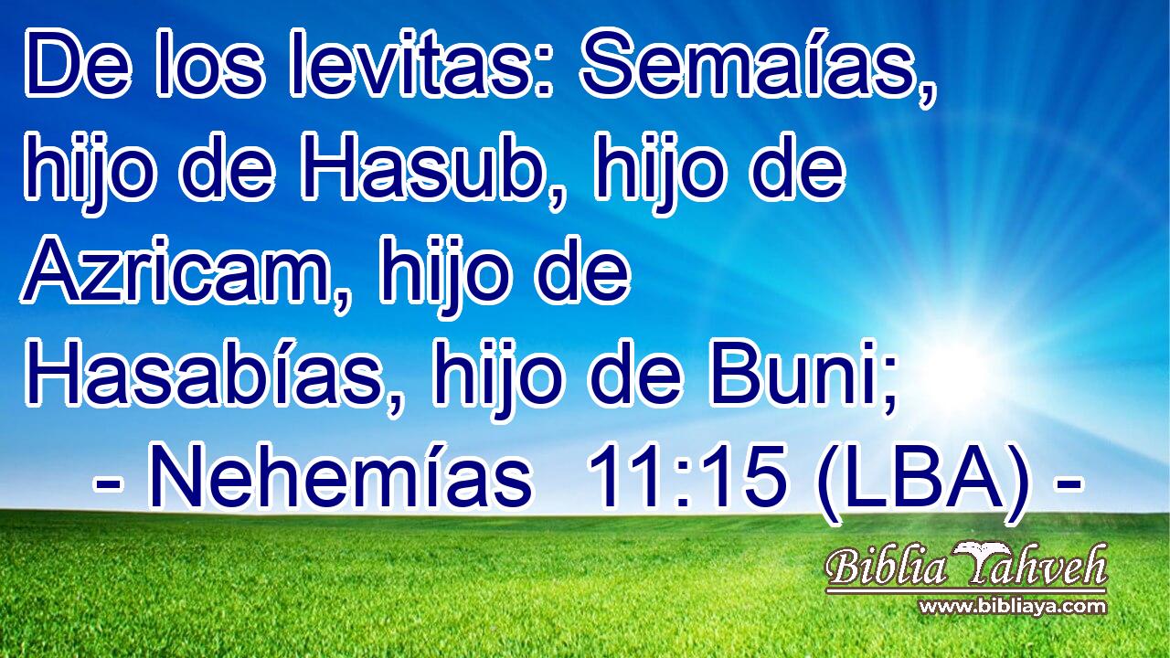 De los levitas: Semaías, hijo de Hasub, hijo de Azricam, hijo de Hasabías, hijo de Buni;