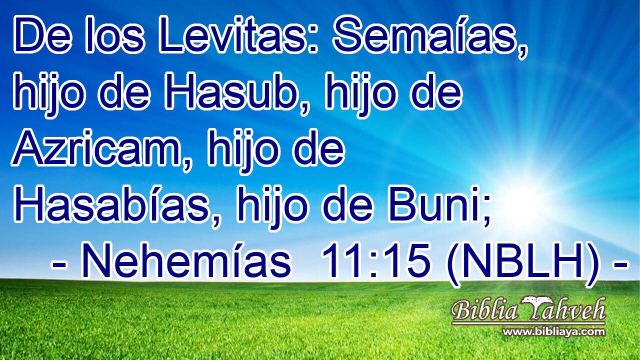  De los Levitas: Semaías, hijo de Hasub, hijo de Azricam, hijo de Hasabías, hijo de Buni; 