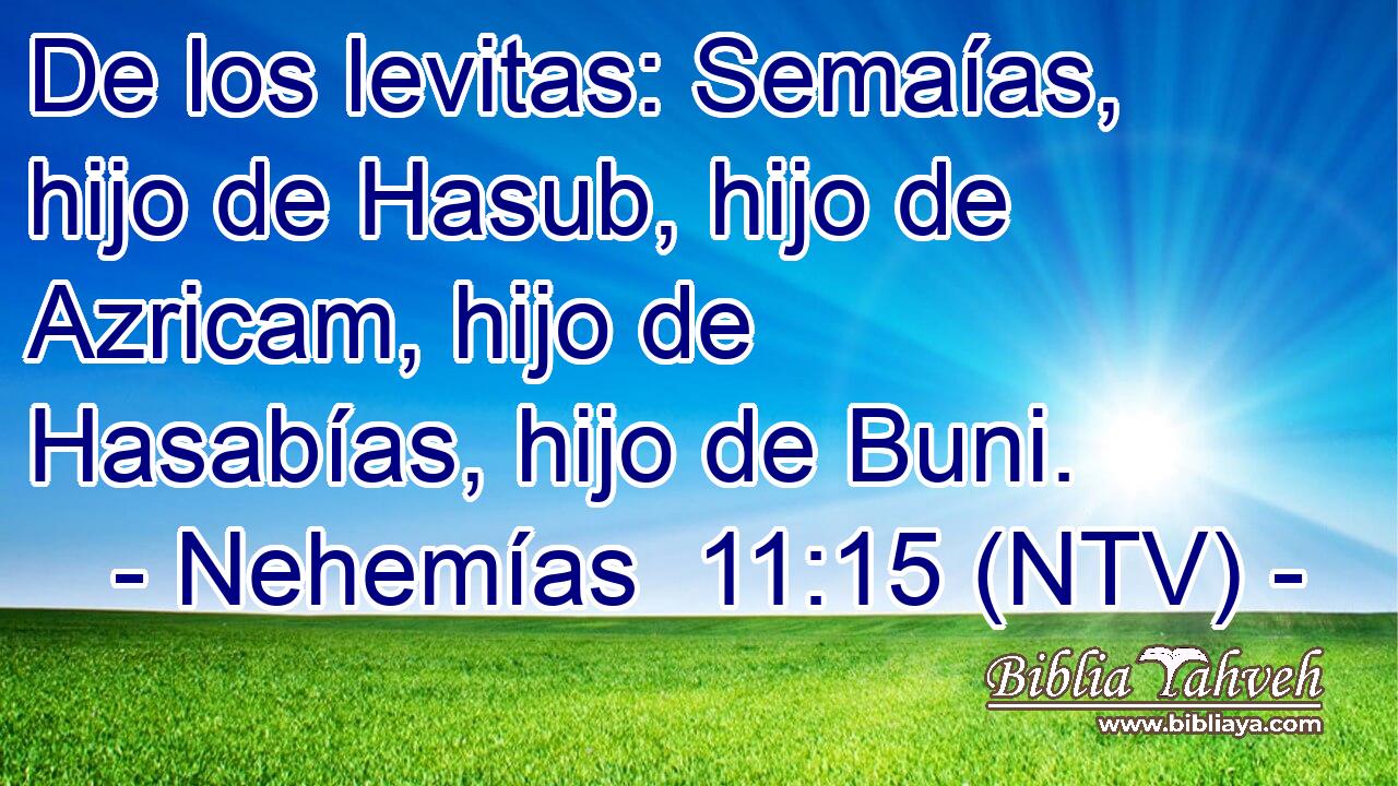 De los levitas: Semaías, hijo de Hasub, hijo de Azricam, hijo de Hasabías, hijo de Buni.