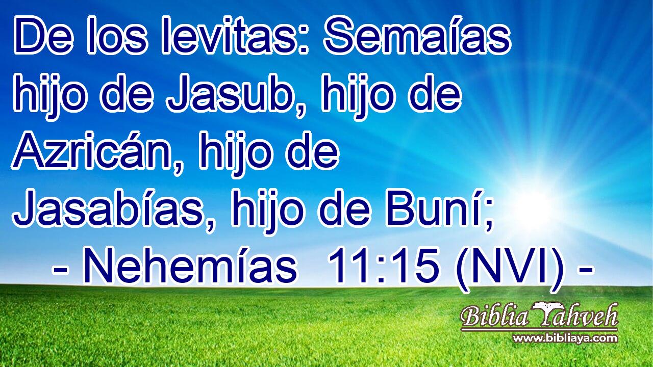  De los levitas: Semaías hijo de Jasub, hijo de Azricán, hijo de Jasabías, hijo de Buní; 