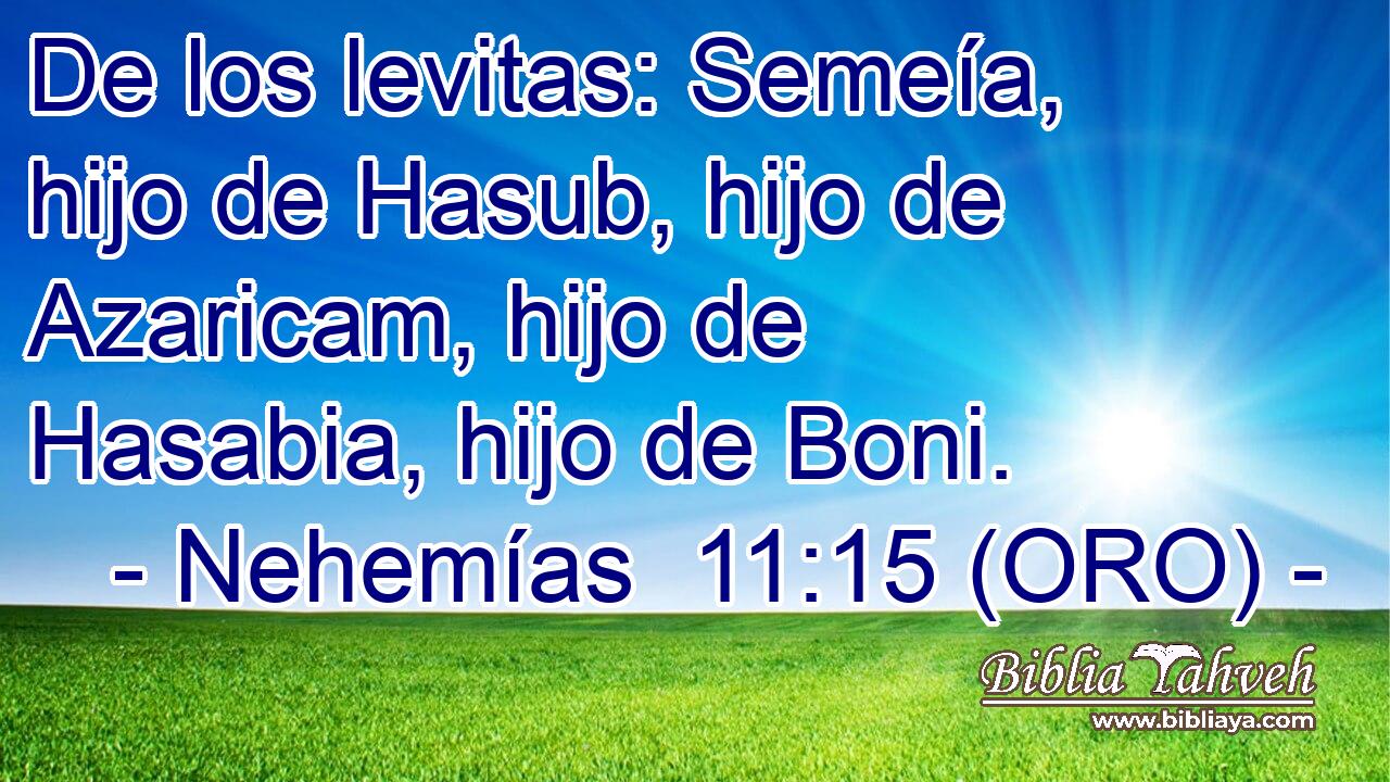  De los levitas: Semeía, hijo de Hasub, hijo de Azaricam, hijo de Hasabia, hijo de Boni. 