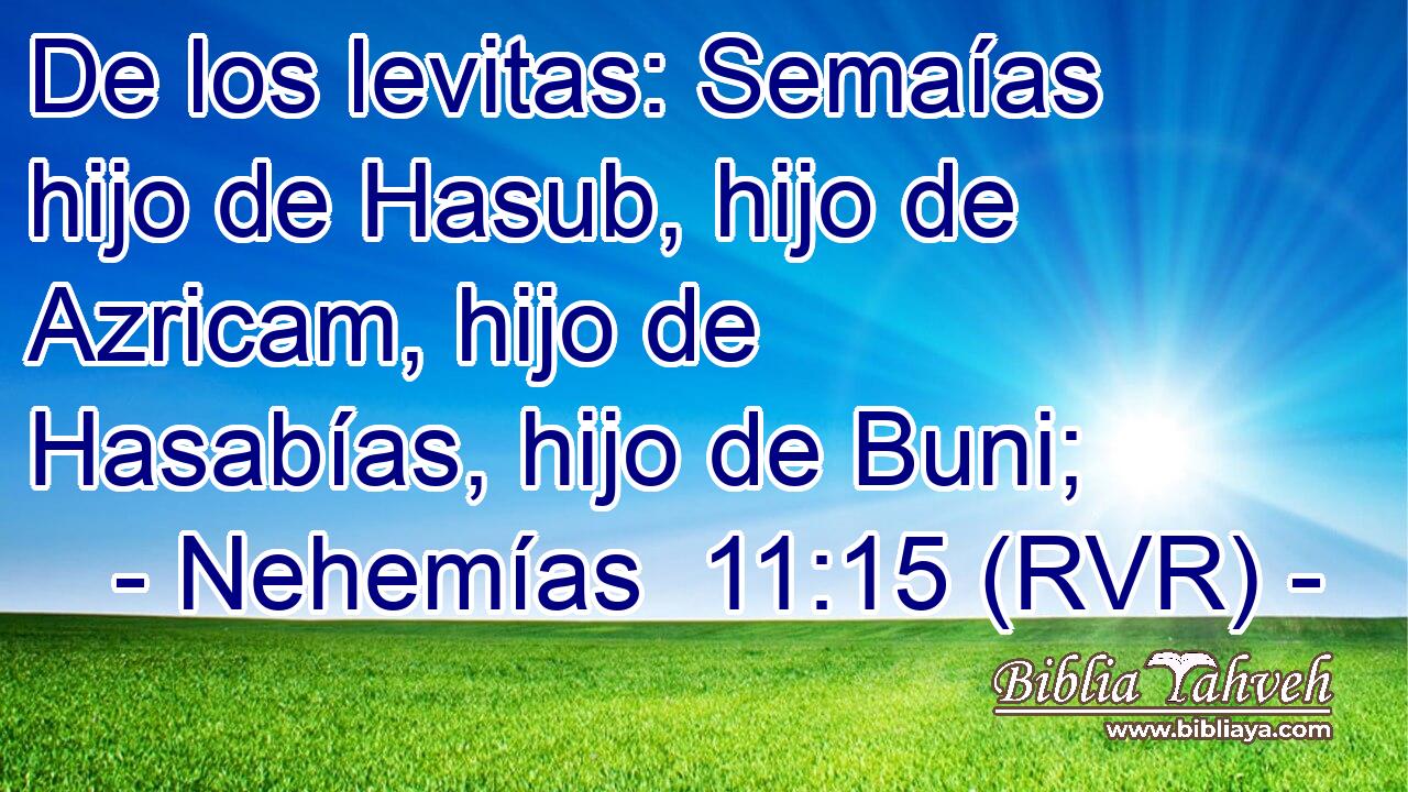 De los levitas: Semaías hijo de Hasub, hijo de Azricam, hijo de Hasabías, hijo de Buni;