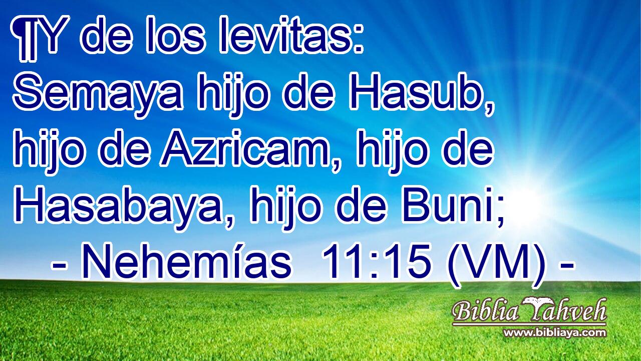  ¶Y de los levitas: Semaya hijo de Hasub, hijo de Azricam, hijo de Hasabaya, hijo de Buni; 