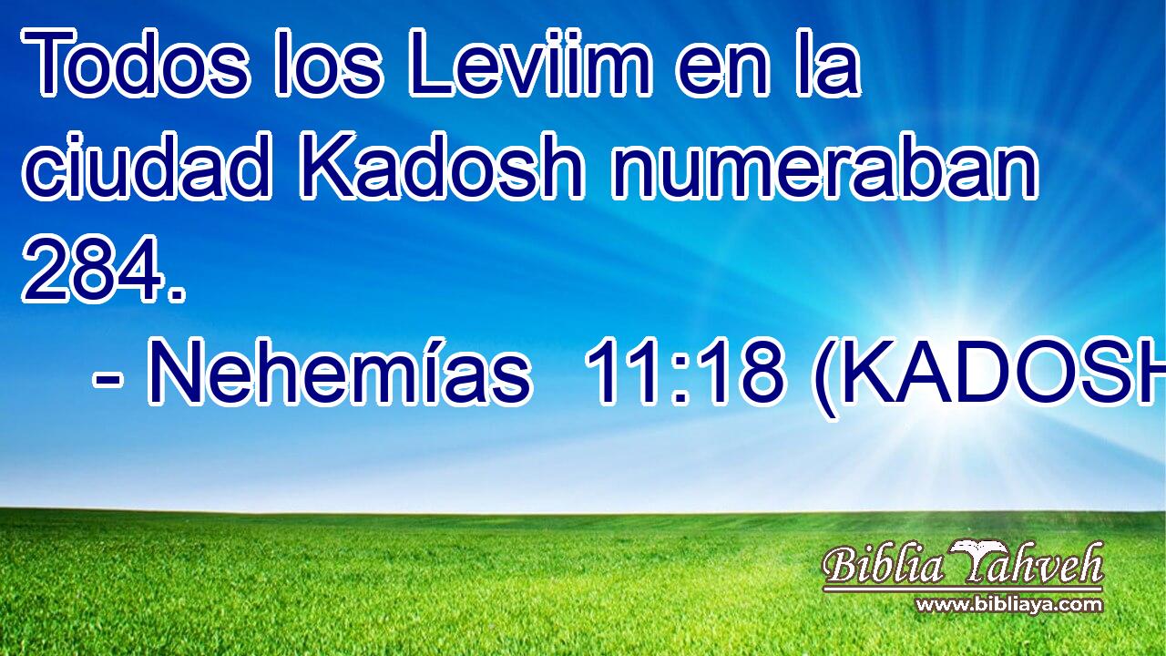  Todos los Leviim en la ciudad Kadosh numeraban 284. 