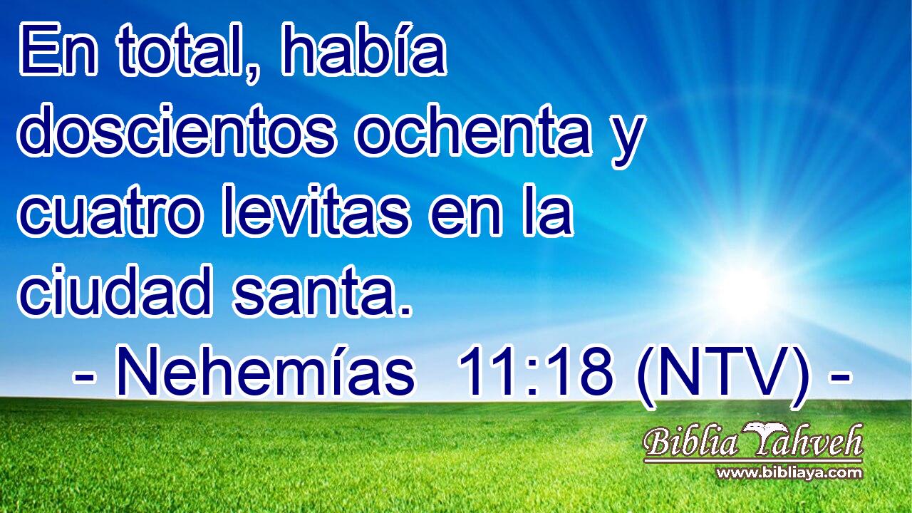 En total, había doscientos ochenta y cuatro levitas en la ciudad santa.