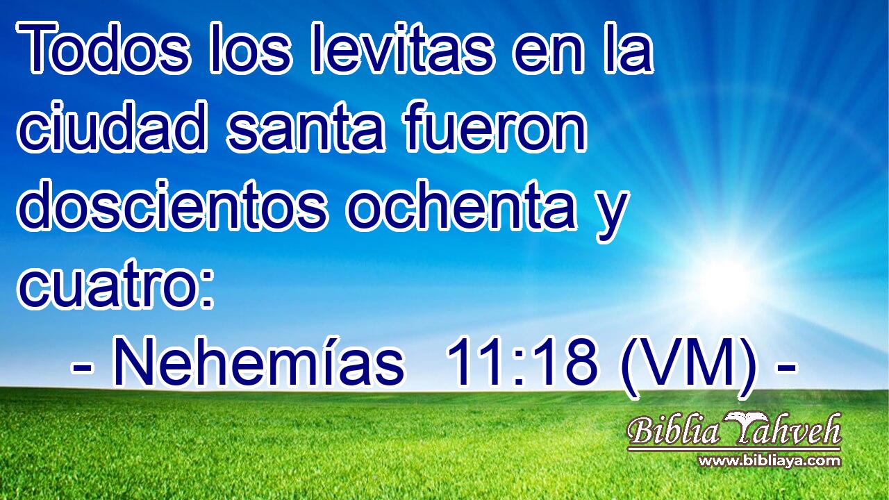  Todos los levitas en la ciudad santa fueron doscientos ochenta y cuatro: 
