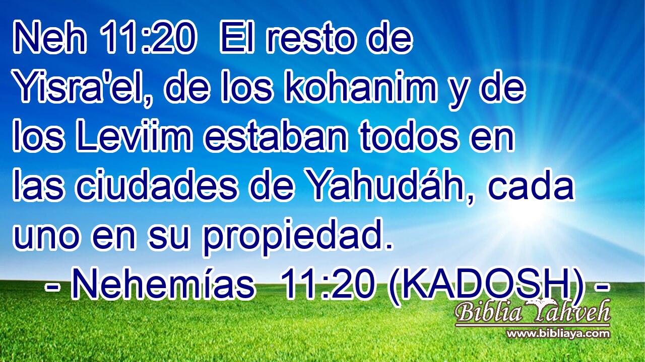  El resto de Yisra'el, de los kohanim y de los Leviim estaban todos en las ciudades de Yahudáh, cada uno en su propiedad. 