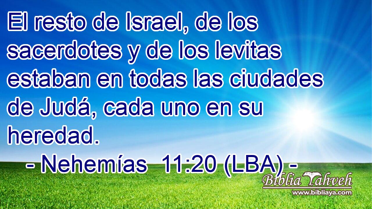 El resto de Israel, de los sacerdotes y de los levitas estaban en todas las ciudades de Judá, cada uno en su heredad.